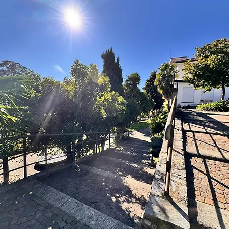 Nido Sul - *